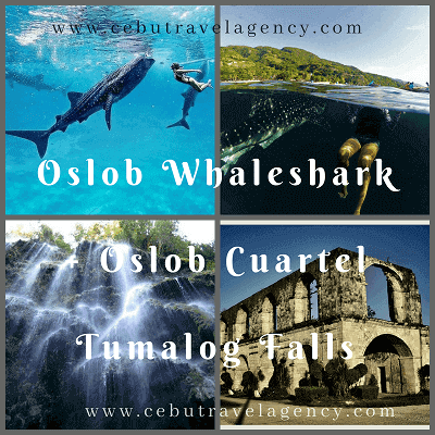 oslob van tour